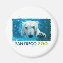 San Diego Zoo-Eisbär Magnete