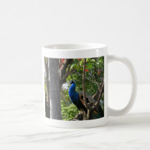 San Diego Zoo-Pfau Kaffee Haferl