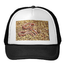 San Francisco Strumpfbandschlange Retro Cap
