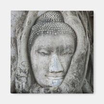 Sandsteinkopf von Buddha umgab durch Baum Magnets