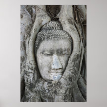 Sandsteinkopf von Buddha umgab durch Baum Posterdrucke