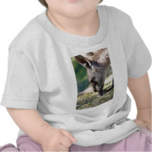 Säubern Sie Känguru Tshirts