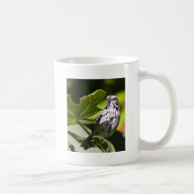 Savanne-Spatz Kaffeehaferl