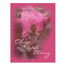 Save the Date PK-knockout Rose-irgendeine Gelegenh Postkarten