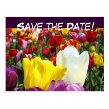SAVE THE DATE! Postkarten Tulpe-Hochzeits-Partys