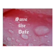 Save the Date   Rosa Postkarte