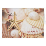Save the Date Seashell-Karte
