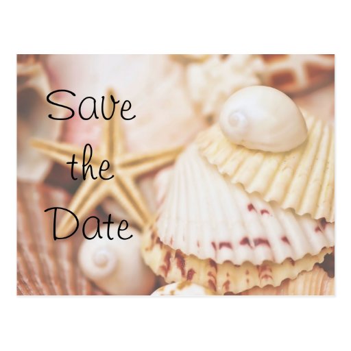 Save the Date Seashell-Postkarte