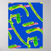 sc_10 poster