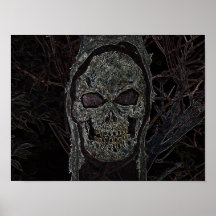 Schädel Poster