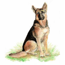 Schäferhund-Foto-Skulptur Photoausschnitte