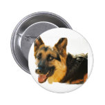 Schäferhund-HundefotoPin Anstecknadelbutton