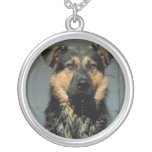 Schäferhund-Hundehalskette