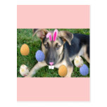 Schäferhund-Ostern-Welpe Postkarten