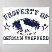 Schäferhund Posterdrucke