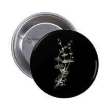 Schalen-Flechte Anstecknadelbutton
