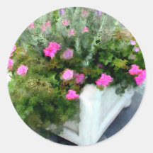 Schatten des Rosas in einem weißen Pflanzer Runde Sticker