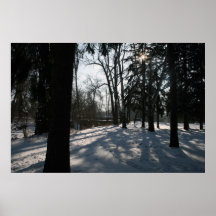 Schatten des Winters Posterdrucke