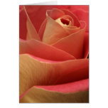 Schatz-Rose Karten