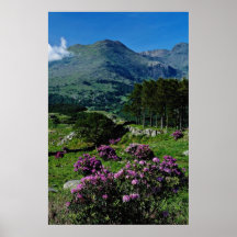 Schauen Nord von Llyn Dinas zu Fluss Mt. Snowdon Plakate