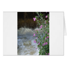 Schaum und Blume Grußkarten