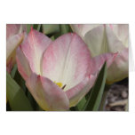 Schichten Blumen Grußkarten