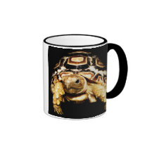 Schildkröte Kaffee Tasse
