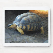 Schildkröte Mousepads