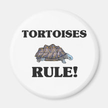 SCHILDKRÖTEN Regel! Magnete