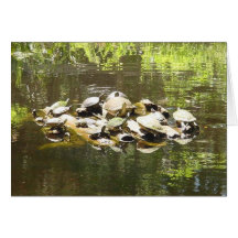 Schildkrötevernetzung Grußkarte