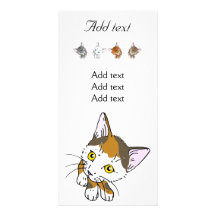 Schildpattkatze (三毛猫) bilderkarten