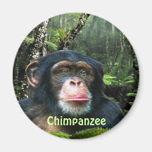 SCHIMPANSE u. DSCHUNGEL Primat-Tier-Kunst-Magnet Kühlschrankmagnet