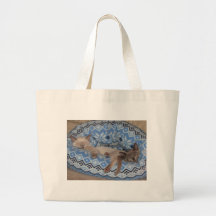 Schlafen mit zwei Tonkinese Kätzchen Tasche