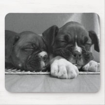 Schlafenboxer-Welpen mousepad