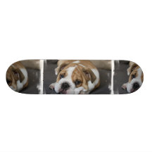 Schlafenbulldoggen-Skateboard Personalisiertes Skateboard