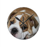 Schlafenbulldoggen-Uhr wanduhren