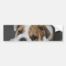 Schlafender Bulldoggen-Autoaufkleber