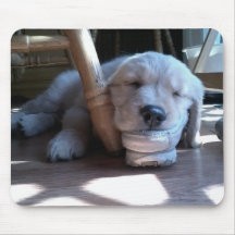Schlafengolden retriever-Welpe Mousepads