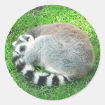 SchlafenLemur auf Gras Sticker