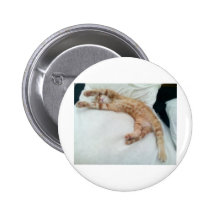 SchlafenMiezekatze Anstecknadel