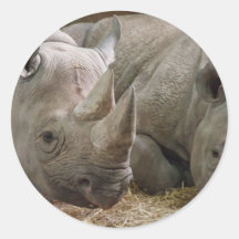 Schlafenrhinos-Aufkleber