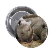 Schlafenrhinos-Knopf Anstecknadelbuttons
