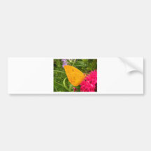 Schläfrige Orange Auto Sticker