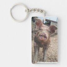 Schlammiges Schwein-Rechteck-Schlüsselkette Schlüsselring