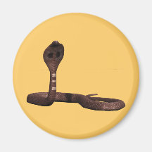 Schlange Kobra snake cobra Magnets