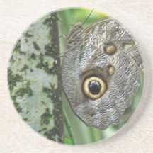 Schleiereule-Schmetterlings-Untersetzer