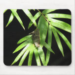 Schmetterling auf BambusMousepad