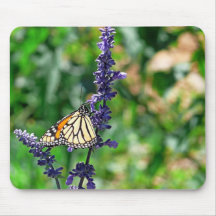Schmetterling auf blauem Mousepad