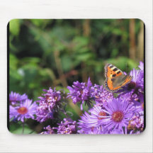 Schmetterling auf lila Blumen mousepad