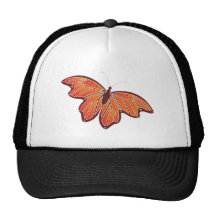 Schmetterling butterfly kult kappen